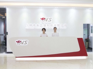 BVSION Group Co., Limited