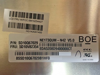 NE173QUM-N42