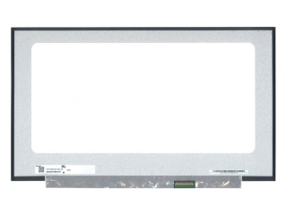 N173HCE-G33 photo