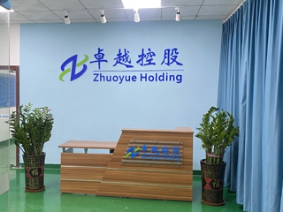 Zhuoyue Holdings (Shenzhen) Group Co. LTD