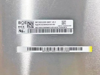 NE180QDM-NM1