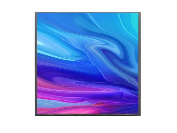 AML17019201920-01 17 inch 1920 * 1920 resolution eDP interface 600nit ...