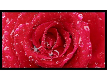 YZ320CD05-DE15 V03 photo