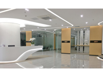 SL101PN30D1460-A00 photo