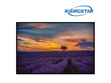 RisingStar 43" 3D Display, Medical Display, Surgical Monitor, Operating Room Display, 3D display, Local Dimming MiniLED Display Technology High Contrast.