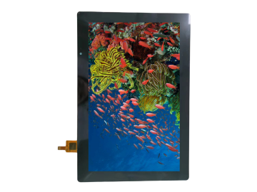 KD101QWU83HP-FC75-AG photo