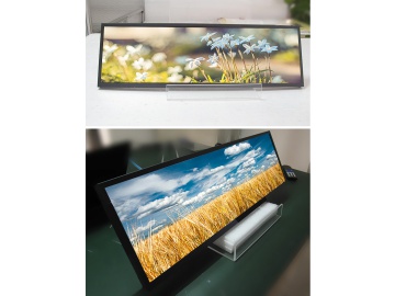 KB286T1 photo