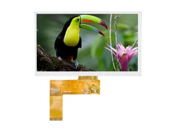 H070BWV40E5007-T photo