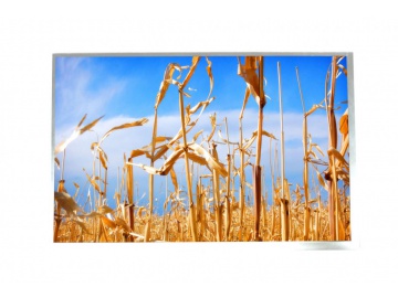 10.1" TFT Module, IPS Display (Full view angle), 1280x800, 330nits, LVDS Interface, without TP