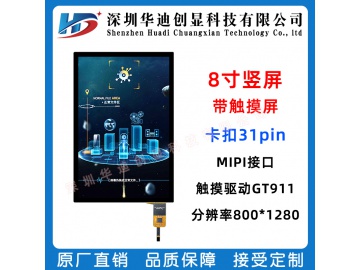 H080NL021016-31P photo