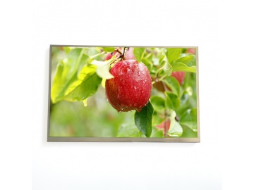 10.1-inch TFT LCD display, 1280*800, IPS LCD screen, 350 brightness, 40PINS LVDS, industrial LCD screen