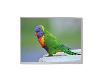 12.1-inch TFT LCD display, 1024*768, 1000 brightness, IPS LCD screen, 20PINS, LVDS, high-brightness LCD screen
