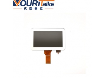 Model Selection (50513) - Panelook