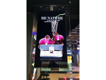 VLT650-OLED-DUAL photo