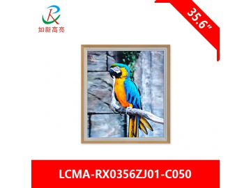 LCMA-RX356HK02-Z01 photo